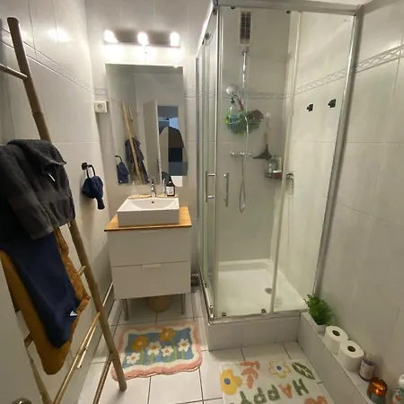 Daire Cosy T2 Proche De L Hyper Centre De Grenoble