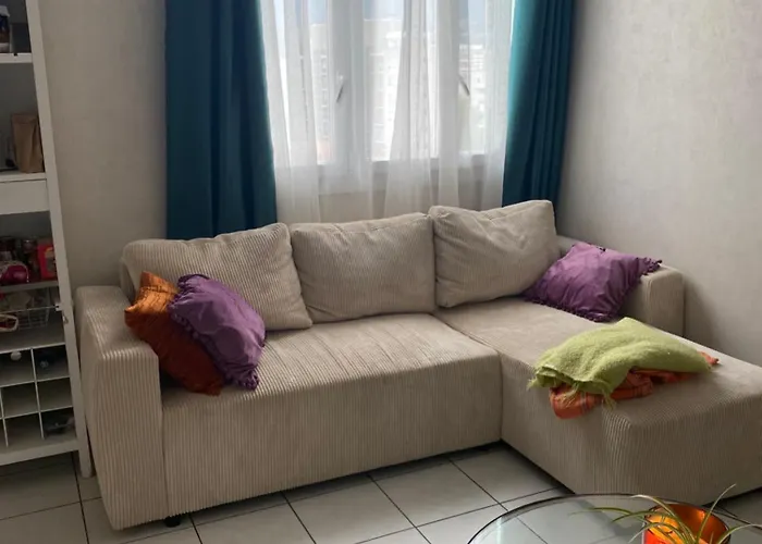 Cosy T2 Proche De L Hyper Centre De Apartment Grenoble