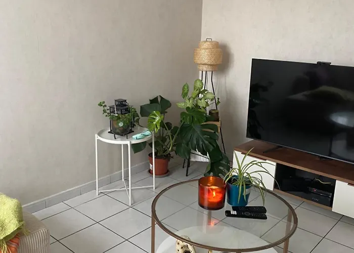 Apartment Cosy T2 Proche De L Hyper Centre De *